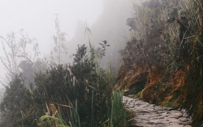Pathways to Custodianship