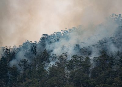 The ESVF: Is there fire behind the smoke?